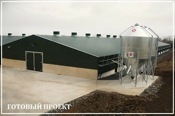 Этапы возведения птицефабрики от завода ВелесТент-ксд